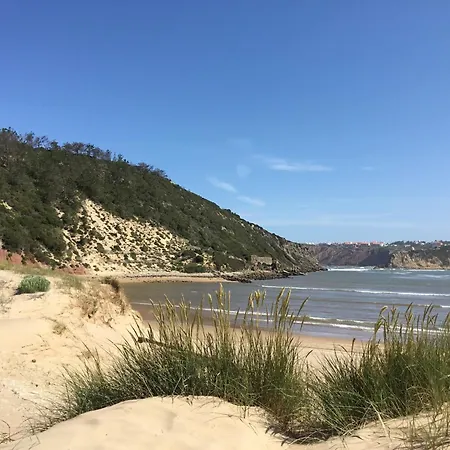 Nazare For Surfing *